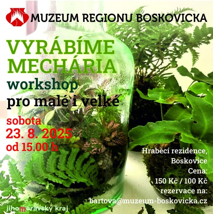 akce v muzeu