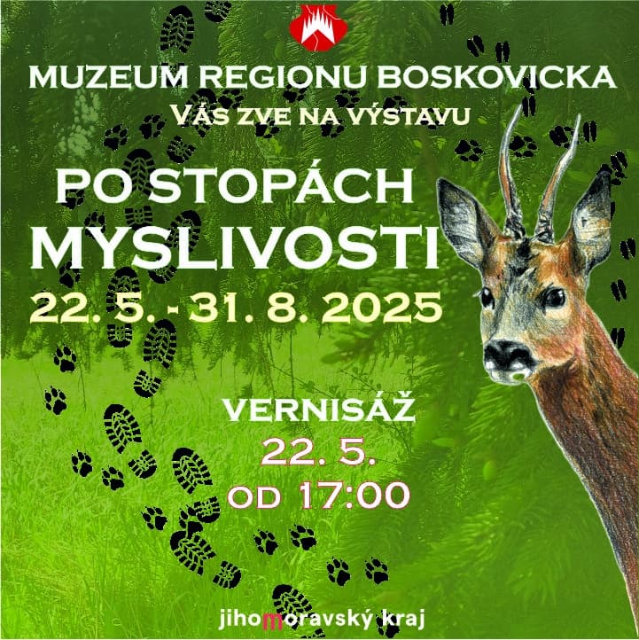 akce v muzeu