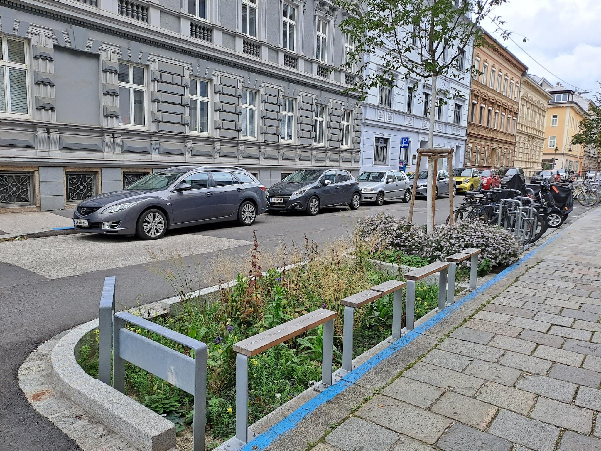 Zasakování vody ve městě – zelený pás se mimo jiné stará o to, aby přilehlý strom měl dost vody