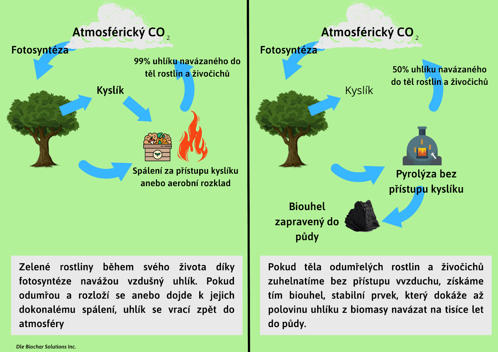 Základy uhlíkového cyklu v přírodě a při použití biouhlu