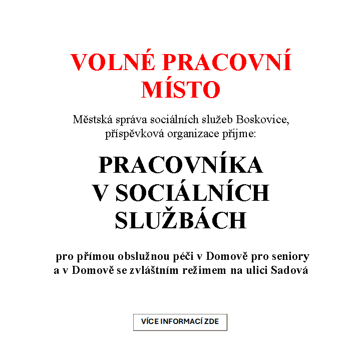 Práce v MSSS
