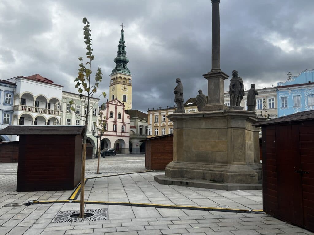 Nové lípy na hlavním historickém náměstí