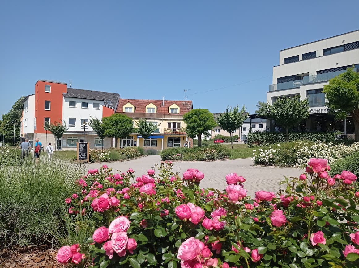 Růžové náměstí