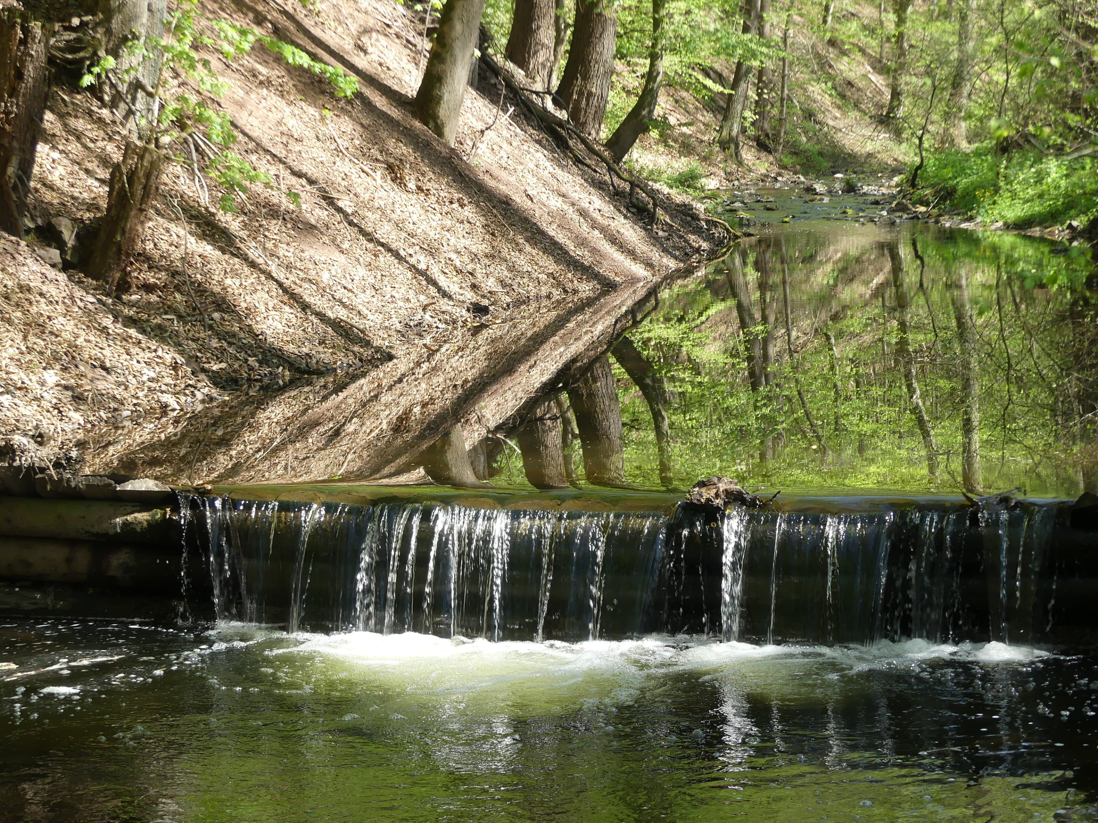 Potok v Pilském údolí